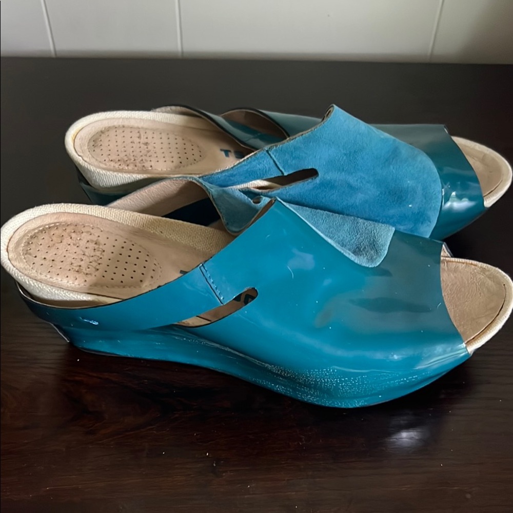 Tsubo Blue Wedge Sandals with Translucent Upper